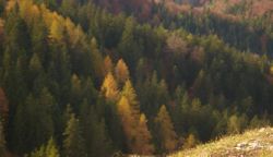 2013-10-25_Baumgartenscheidt (109)b.JPG